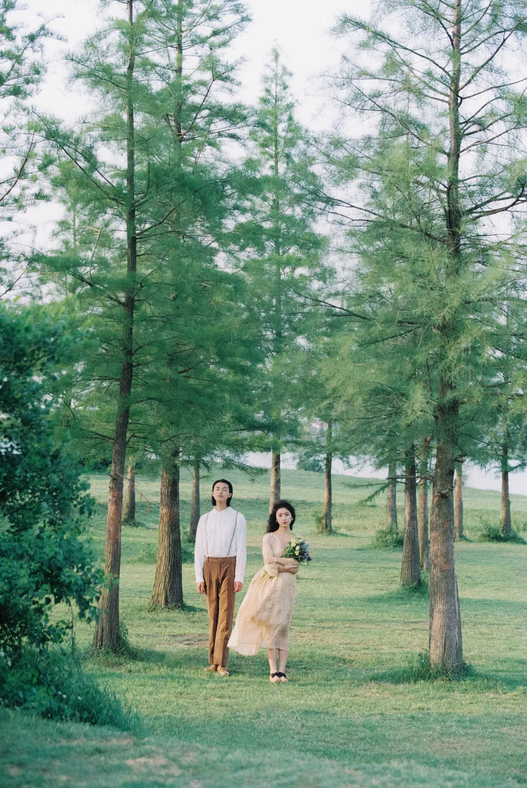 草地尽头，黄昏很轻，湖畔草地、黄昏柔光、自然互动，竖幅组图开场第1幅，进部摄影创作作品