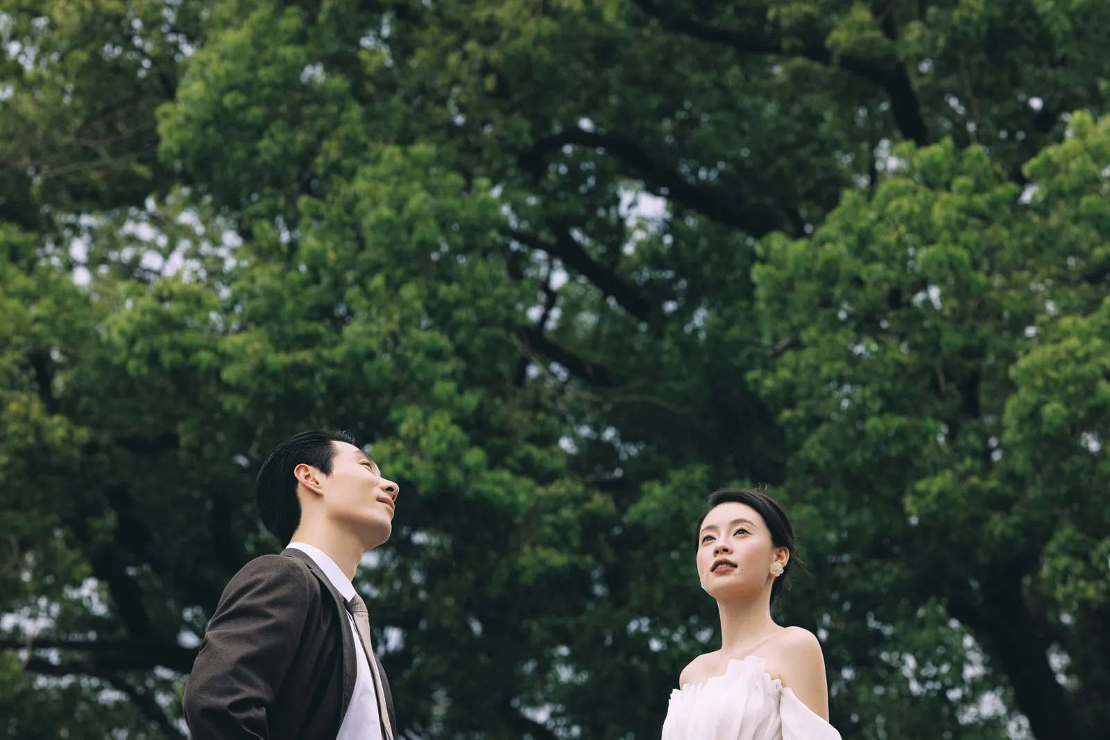 进部摄影创作样片，蓝天之下，靠近一点，第8张