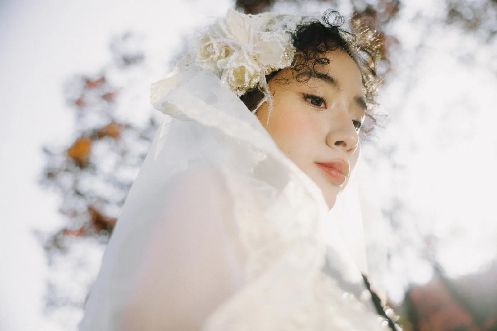 森系、光影、主纱｜2025年12月完整作品，森系、光影，前段第2幅，进部摄影创作作品